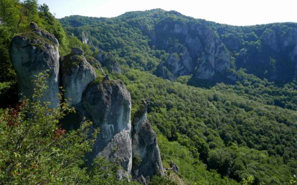 Vista de volta para Roháč