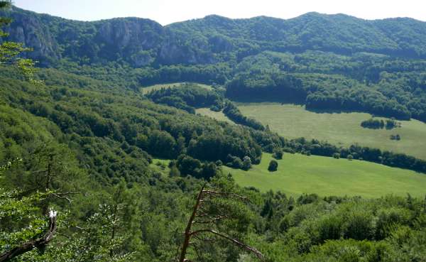 Blick ins Tal