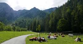 Výlet do údolí Gerntal