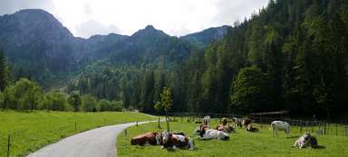 游览 Gerntal 山谷