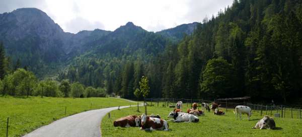 Viaje al valle de Gerntal: Alojamientos