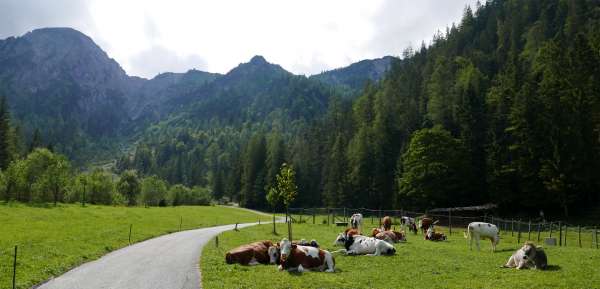 Straße nach Osten