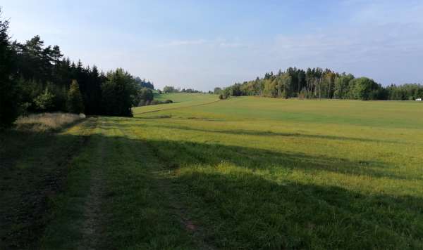 Walk to the chapel