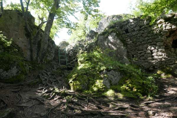 Auf der Burg