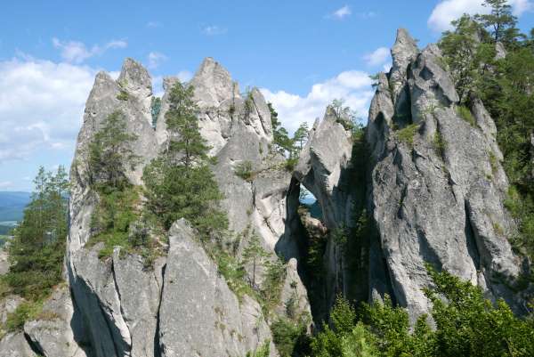 Blick auf das gotische Tor