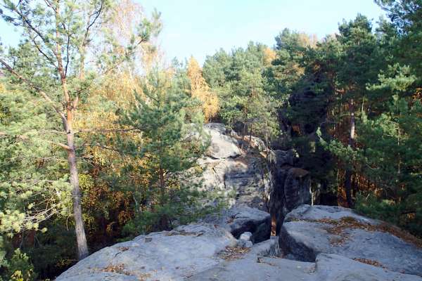 Geschützte Naturkreation