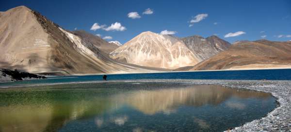 Les plus beaux voyages au Ladakh
