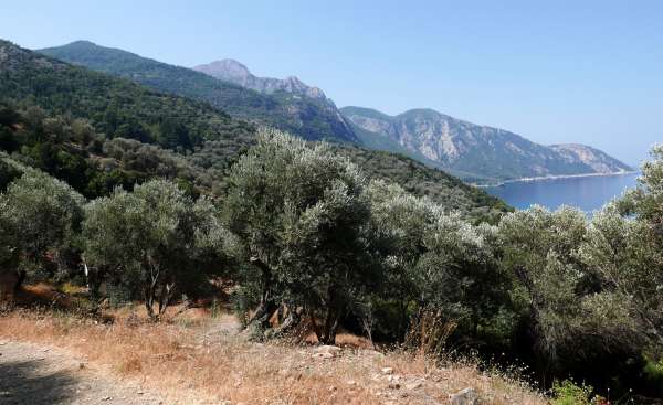 Vista de la costa noroeste de Samos