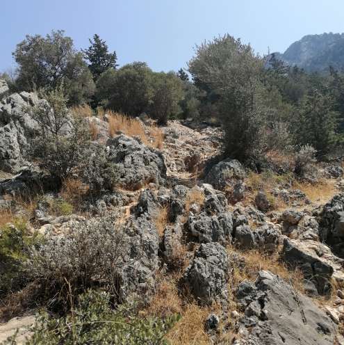Descent rocky slope
