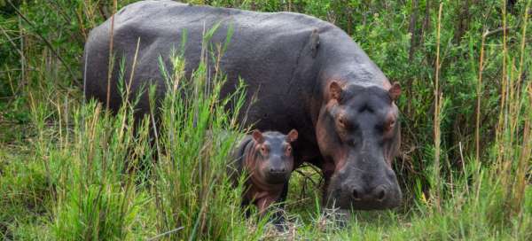 Liwonde-Nationalpark