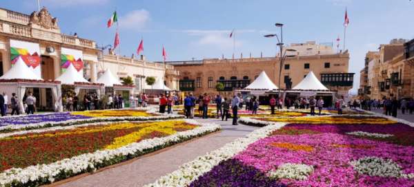 Plaza central - Plaza de San Jorge: Alojamientos