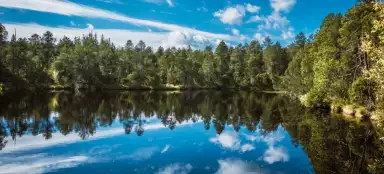 The lake