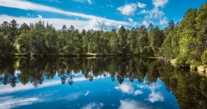 Grande stagno muschioso