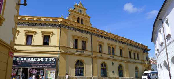 La casa de la uva dorada: Alojamientos