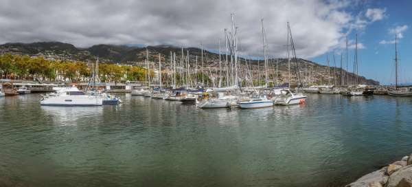 Funchal, targ Lavradores, ogród Tropi