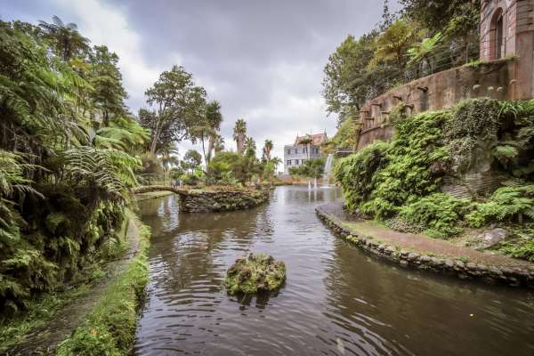 Jardín tropical