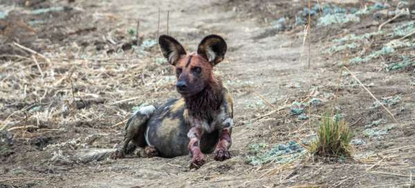 Lower Zambezi Nationalpark: Unterkünfte