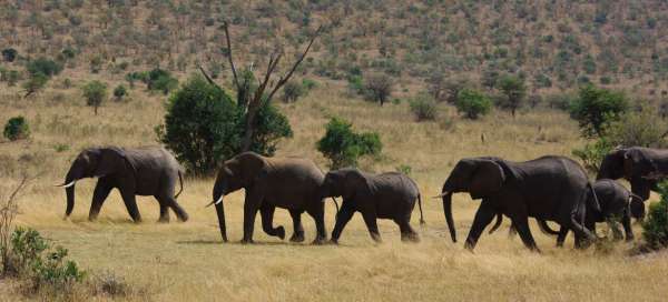 Les plus beaux pays d'Afrique