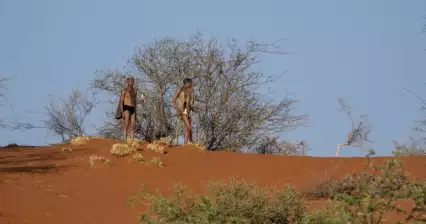 Poušť Kalahari
