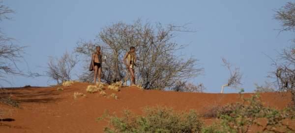 Poušť Kalahari: Počasí a sezóna