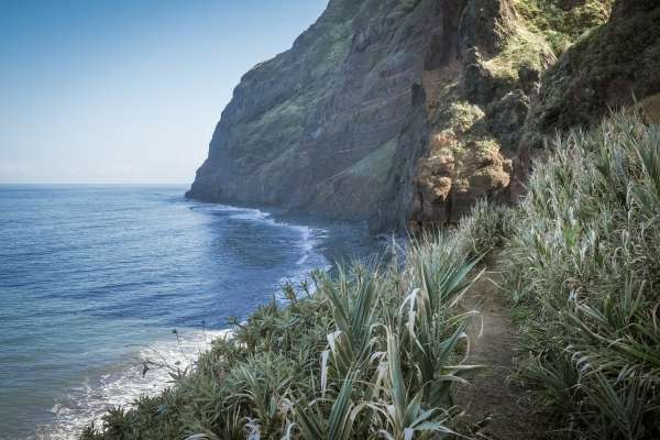 Ponta da leideira