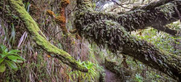 Levada Caldeirão Verde 远足