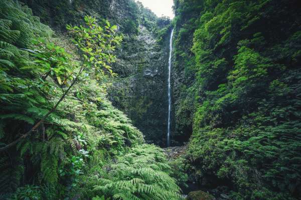 Wasserfall