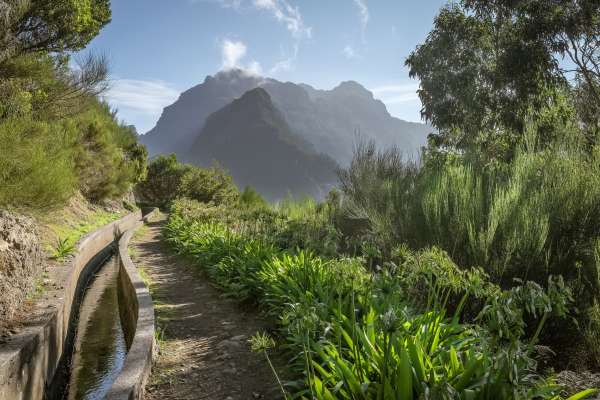 Levada das Rabacas