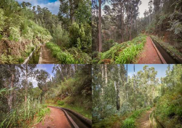 Levada Nova da Calheta