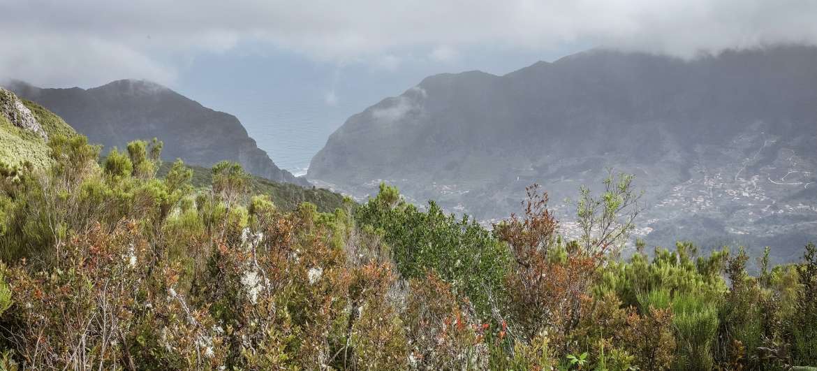 Madeira: Hiking