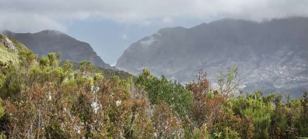 Bica da Cana: Weer en seizoen