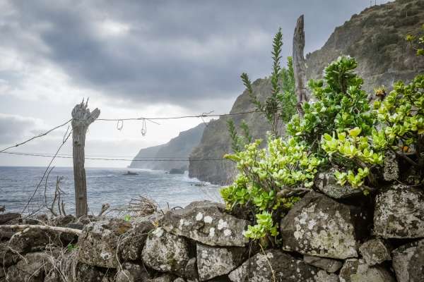 Ponta Delgada