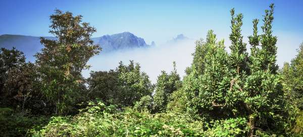 Pico do Suna, Lombo Comprido, Eagle Rock: Pogoda i pora roku