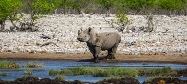 Parque Nacional de Etosha: Clima y temporada