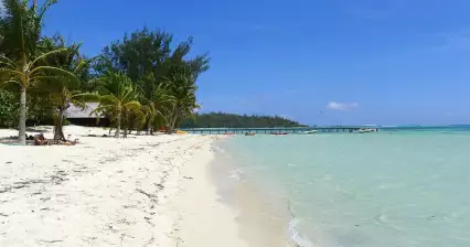 Strand von Moorea Tipaniers