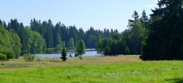 Kłodzkie torfowiska: Zakwaterowanie