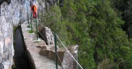 Die schönste Levady auf Madeira