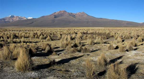 Vulkanischer Altiplano