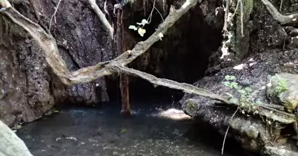 Baño de Afrodita