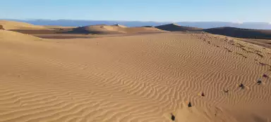 Dune a Maspalomas