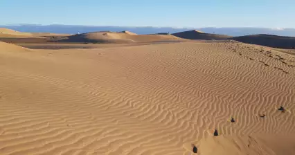 Wydmy w Maspalomas