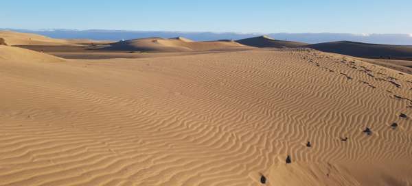 Dunes in Maspalomas