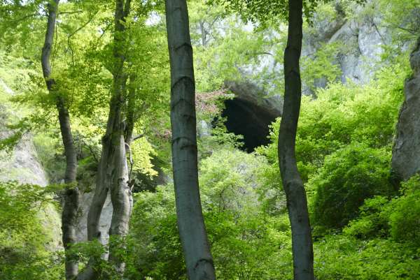 Pierwszy widok na Snake Hole