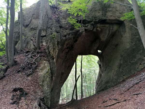 Obrovská brána před námi