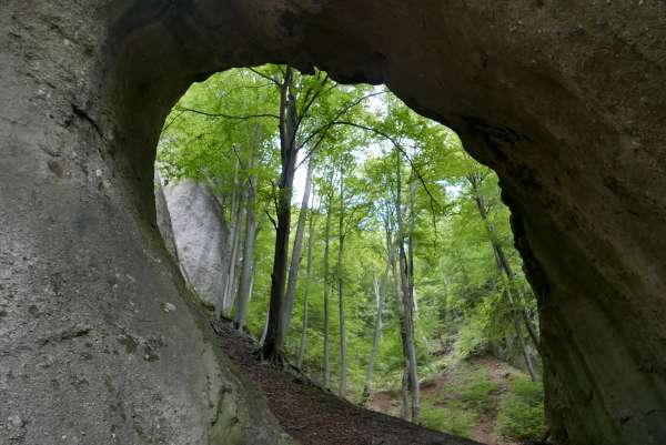 Weg naar de bergkam