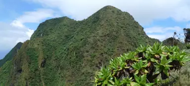 Parco Nazionale dei Gorilla di Mgahinga