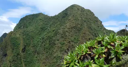Parco Nazionale dei Gorilla di Mgahinga
