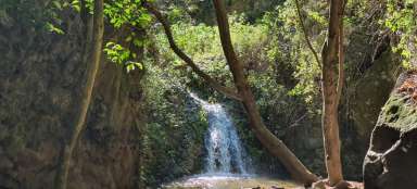 Azuje Special Nature Reserve