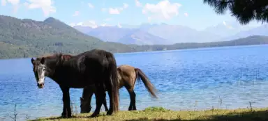 Národní park Rara