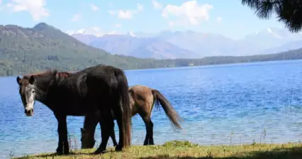Rara National Park